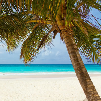 Beach Holidays